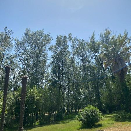Chalet En Pleine Nature La Roquette-sur-Siagne Kültér fotó