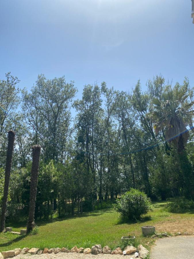 Chalet En Pleine Nature La Roquette-sur-Siagne Kültér fotó