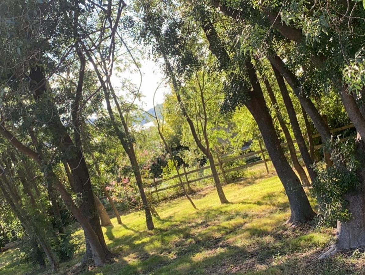 Chalet En Pleine Nature La Roquette-sur-Siagne Kültér fotó
